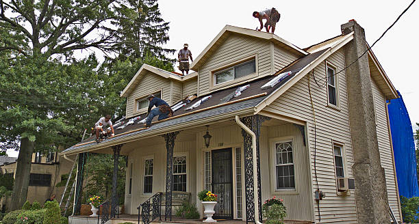 Best Roof Gutter Cleaning  in Stockbridge, GA