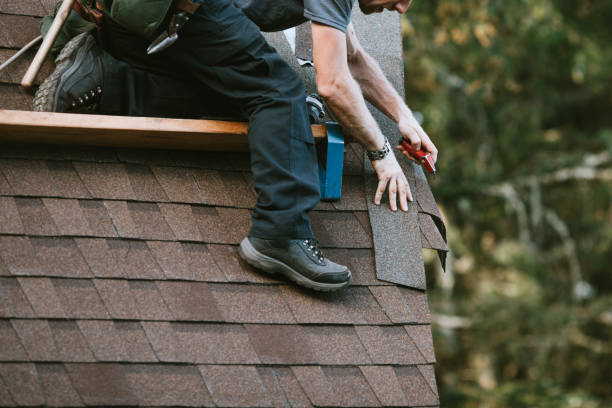 Best Roof Gutter Cleaning  in Stockbridge, GA