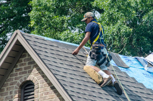 Best Metal Roofing Contractor  in Stockbridge, GA
